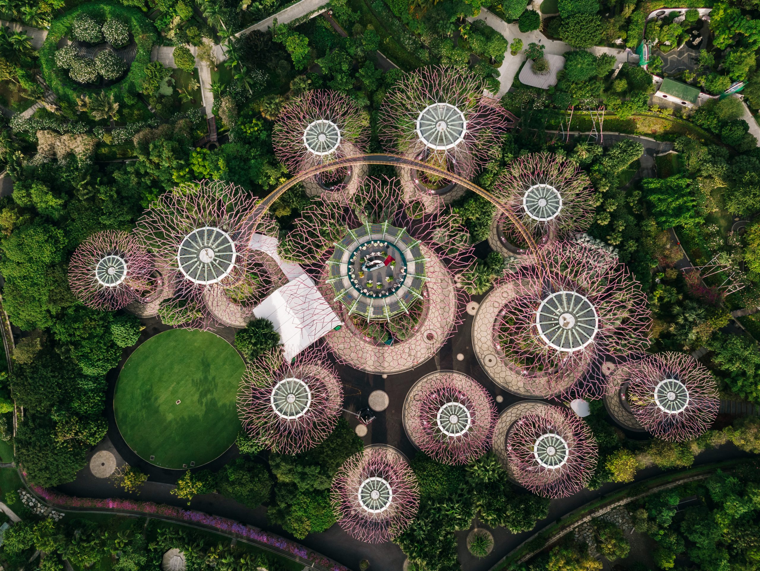 Aerial view of the botanical garden, Gardens by the Bay in Singapore.